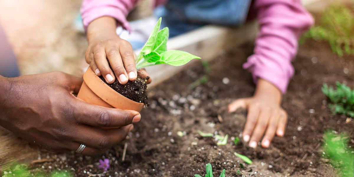 Gardening Storytime Online