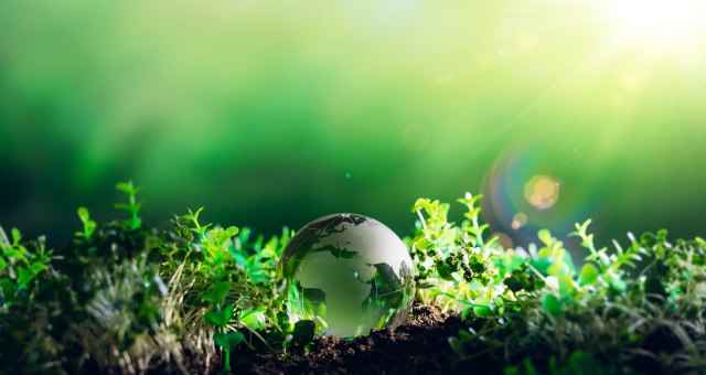 Close-up of dirt, seedlings, and grass shoots with a small crystal version of the earth.